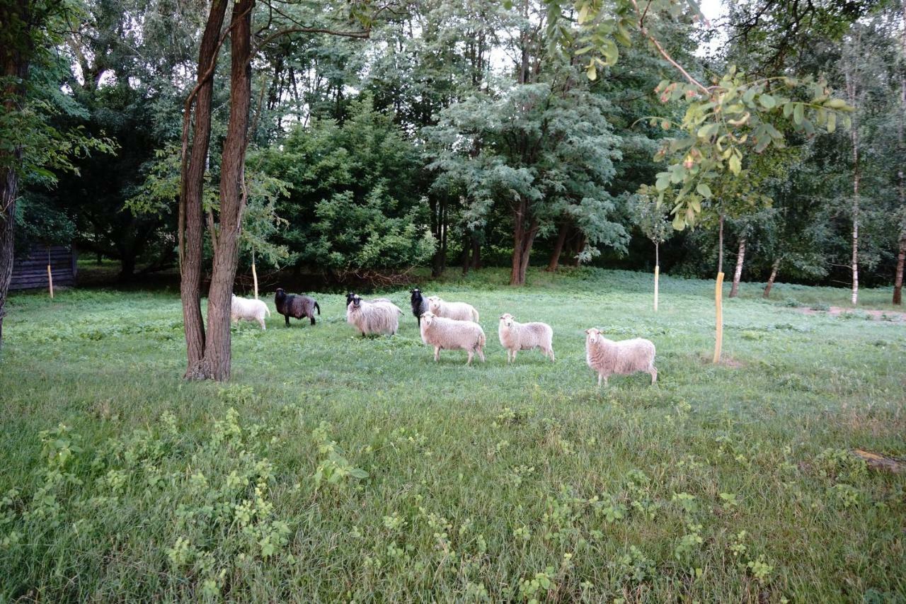Ferien In Himmelpfort Exteriér fotografie
